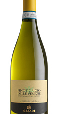 Producto: Cesari Pinot Grigio Delle Venezie 2024