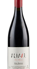 Producto: Aliaxe Tinto 2023