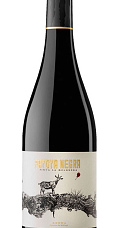 Producto: Payoya Negra 2023
