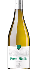 Producto: Pinna Fidelis Verdejo 2025