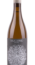 Producto: Casa Balaguer Salicornio Moscatel 2025