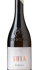 Producto: Borsao Suia 2024