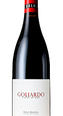 Producto: Forjas del Salnés Goliardo Tinto 2023
