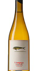 Producto: 4 Kilos Llampuga Vinícola 2025
