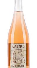 Producto: Paltrinieri Lambrusco di Sorbara Radice 2025