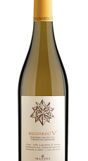 Producto: Belguardo Codice V 2024
