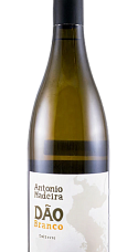 Producto: António Madeira Branco 2024