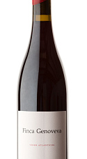 Producto: Finca Genoveva Caíño 2022