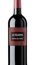 Producto: La Planta 2024