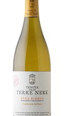 Producto: Terre Nere Etna Bianco Calderara Sottana 2024