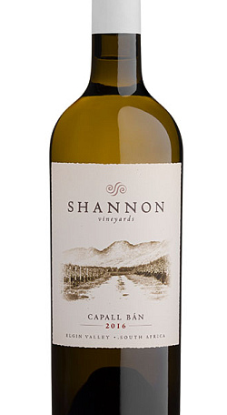 Shannon Capall Bán 2016