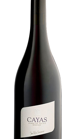 Cayas Syrah Reserva 2016