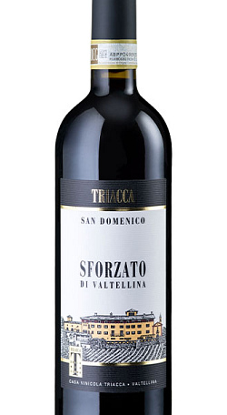 Triacca San Domenico 2016