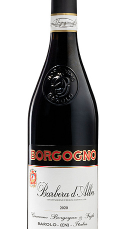 Borgogno Barbera D'Alba 2020