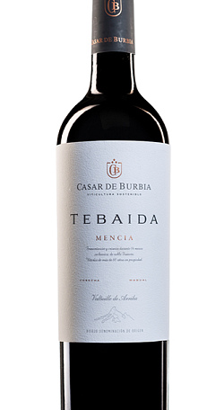 Tebaida 2017