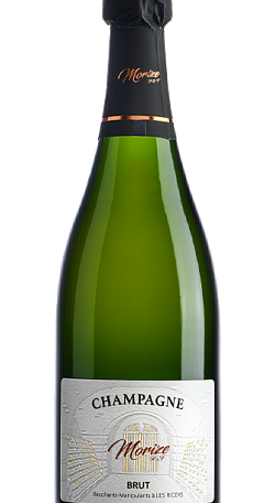 Champagne Morize Tradition Brut