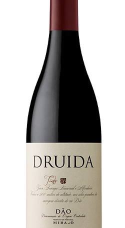 C2o Druida Tinto 2019