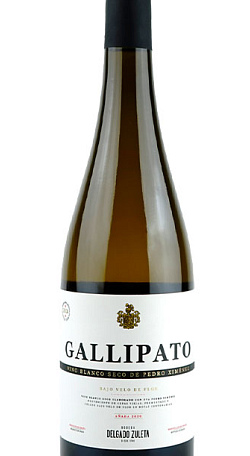 Gallipato 2021