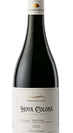 Dominio De Casalta "hoya Colorá" Pinot Noir 2020