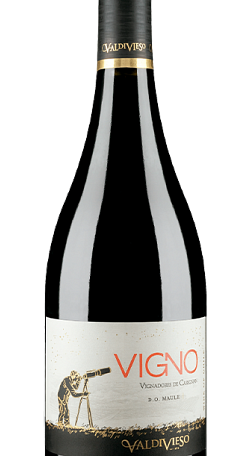 Valdivieso Éclat Vigno Vignadores De Carignan 2019