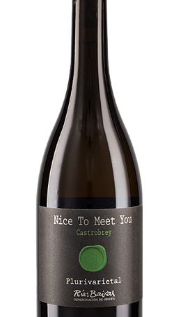 Nice To Meet You 2019