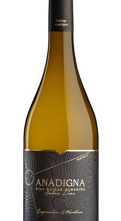 Anadigna Rías Baixas Albariño Sobre Lías 2022