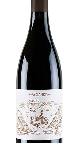 Volandia 2019