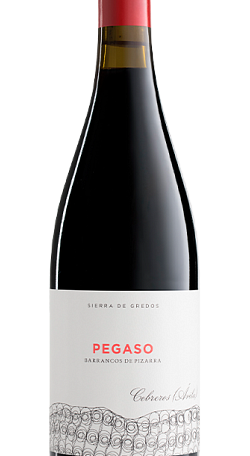 Pegaso Pizarra 2021