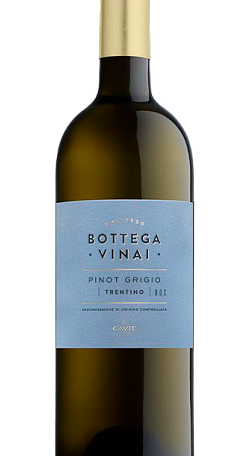 Bottega Vinai Pinot Grigio 2023