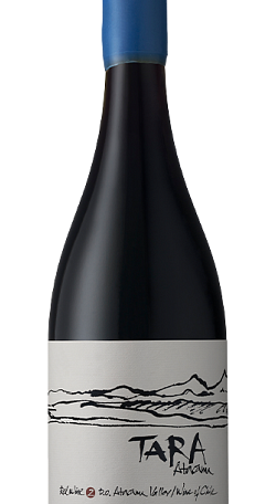 Tara Red Wine 2 Syrah 2019