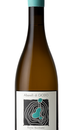 Alberelli Di Giodo Bianco 2022