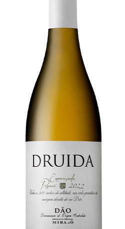 Druida Encruzado Reserva Branco 2022