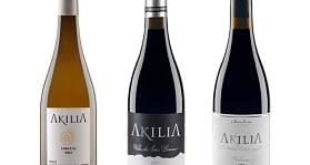 Akilia