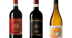 Avignonesi
