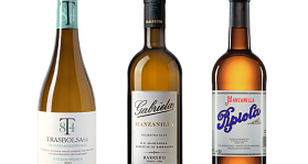 Bodegas Barrero