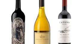 Catena Zapata