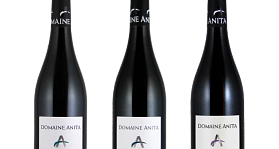 Domaine Anita