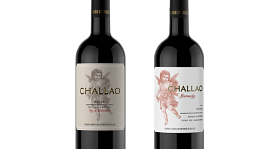 Dominio del Challao