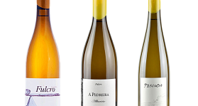 Bodegas Fulcro