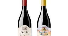 Galia Soriana