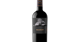Gaudium 2021