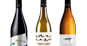 Grandes Pagos Gallegos