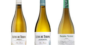Regina Viarum + Altos de Torona