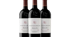 Pago de los Capellanes Crianza 2024