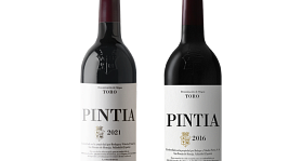 Pintia
