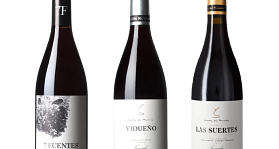 Suertes del Marqués