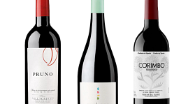 Ribera del Duero según Parker