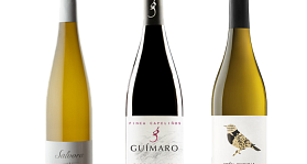 Los top de Rosalía Caamaño y Pablo G. Silva
