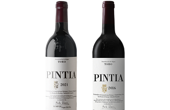 Pintia