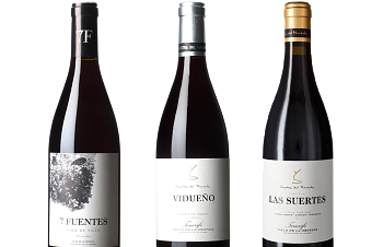 Suertes del Marqués